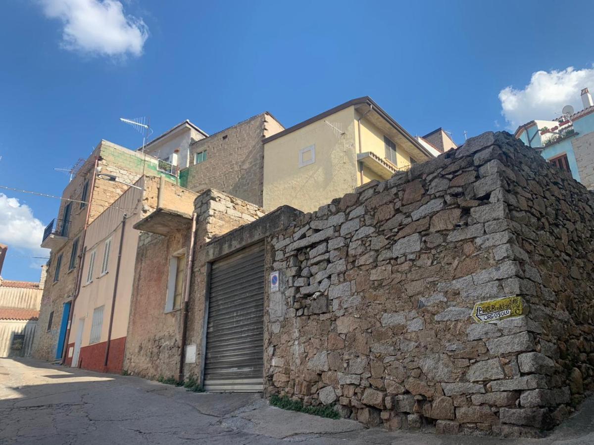 Orgosolo B&B Sardegna Bagian luar foto