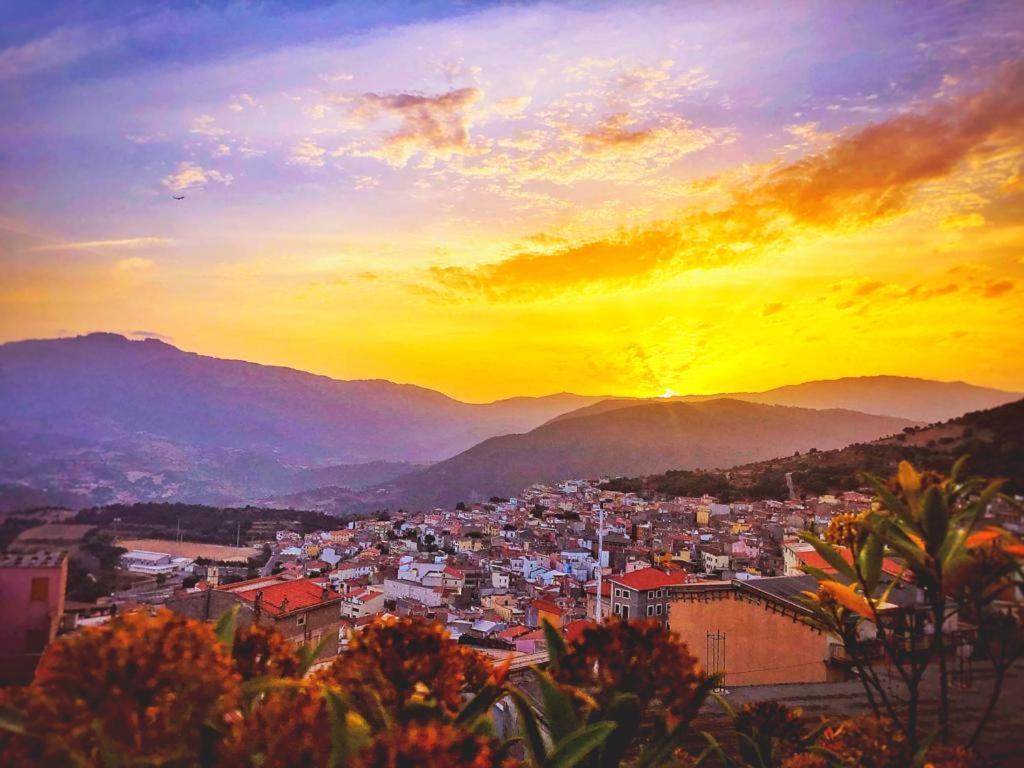 Orgosolo B&B Sardegna Bagian luar foto