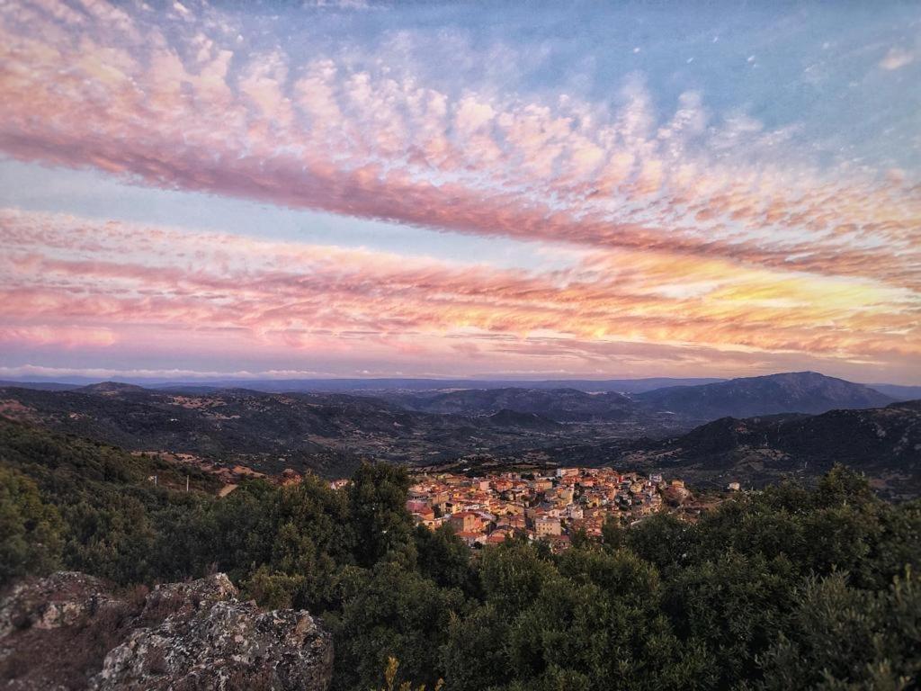 Orgosolo B&B Sardegna Bagian luar foto