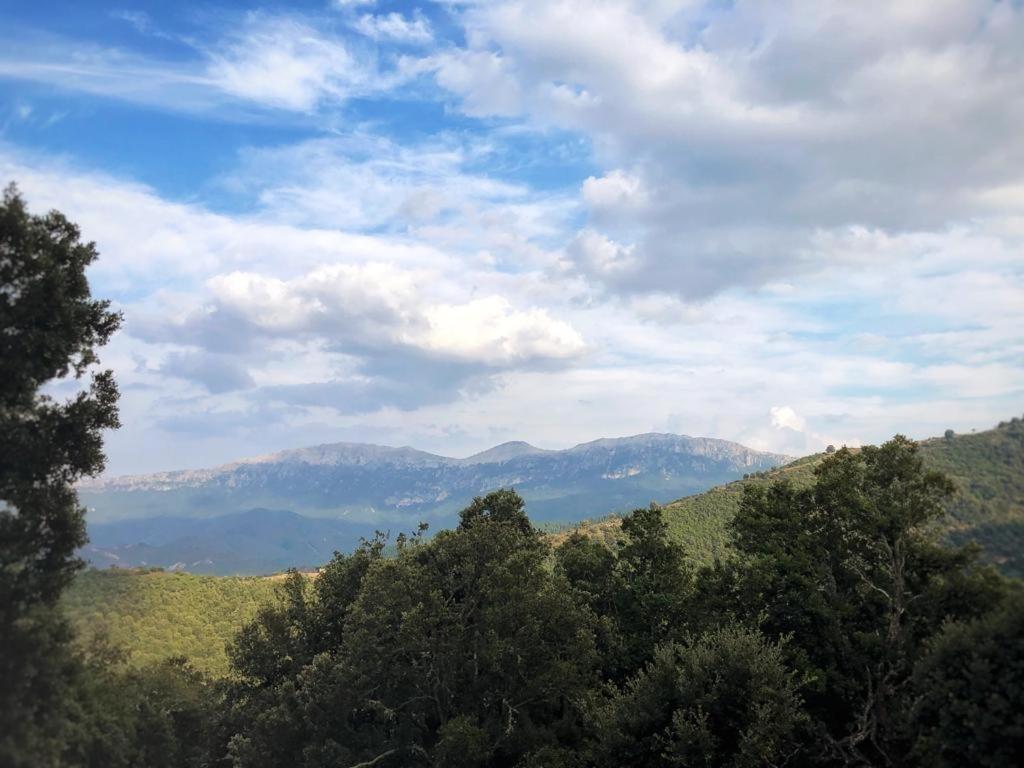 Orgosolo B&B Sardegna Bagian luar foto