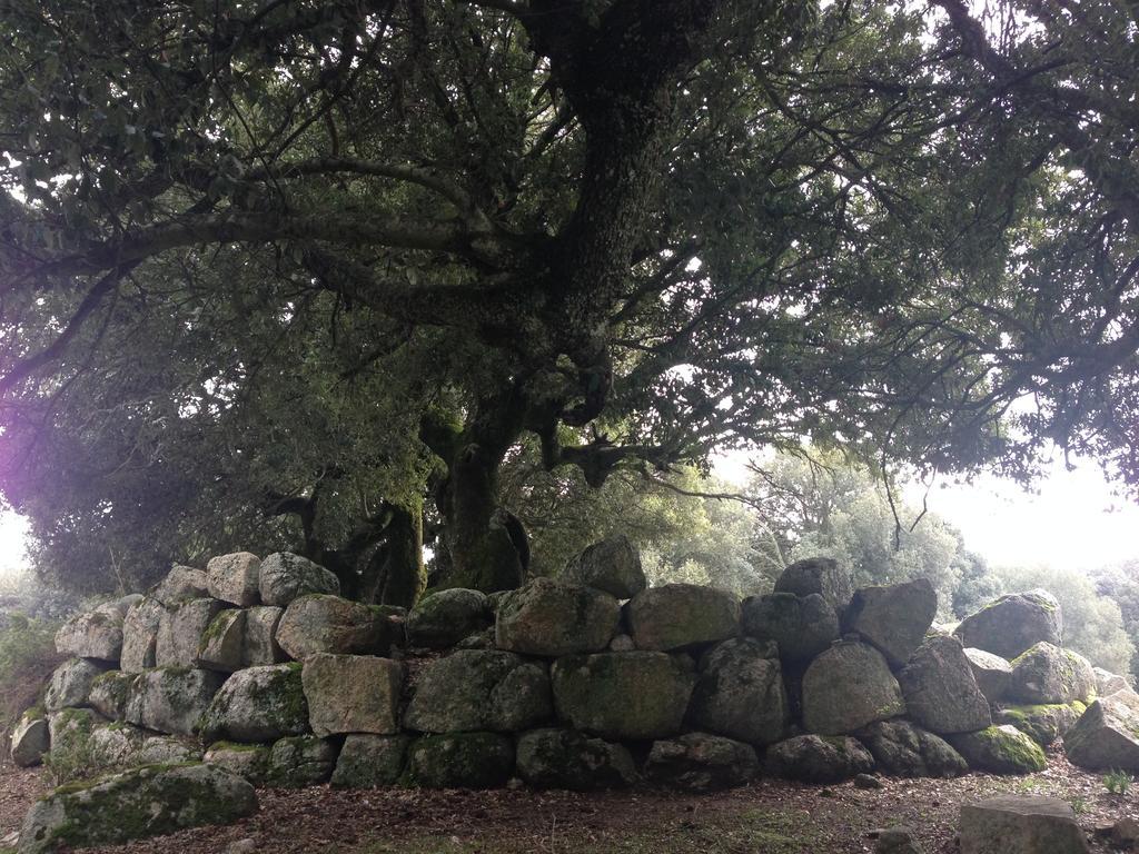 Orgosolo B&B Sardegna Bagian luar foto