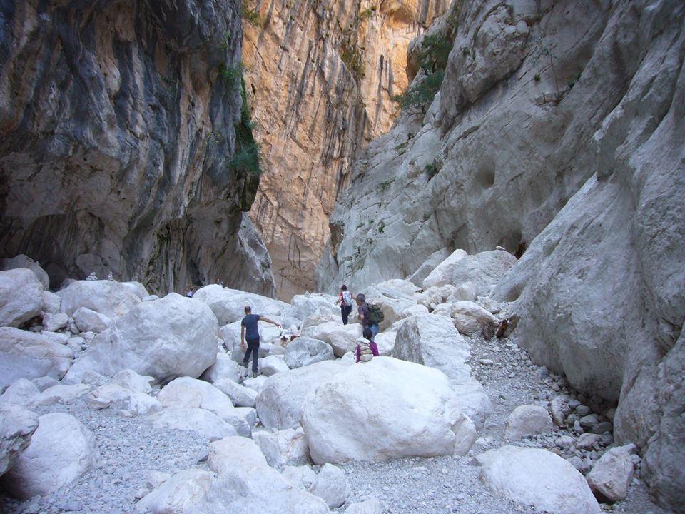 Orgosolo B&B Sardegna Bagian luar foto